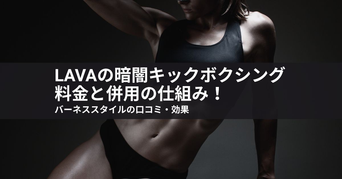lavaの暗闇キックボクシング料金と併用の仕組み!バーネススタイルの口コミ・効果